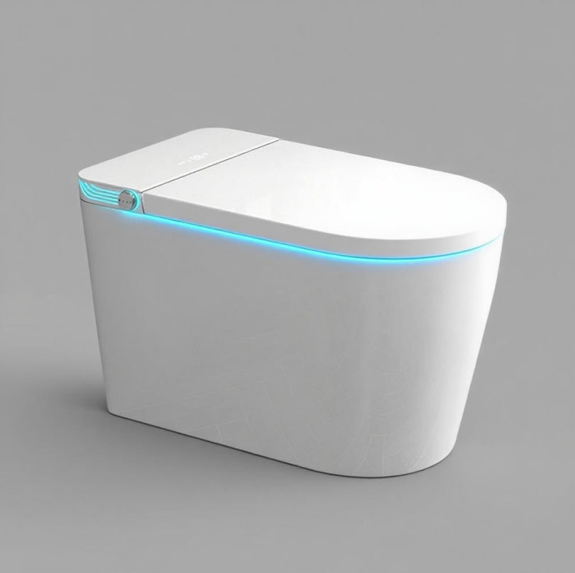 JN602 Smart Toilet