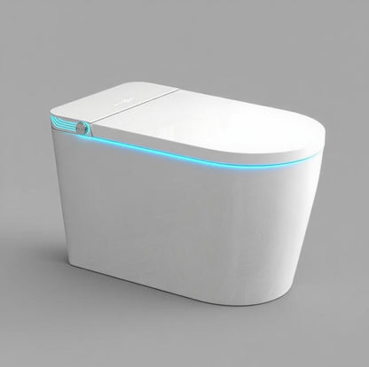 JN602 Smart Toilet