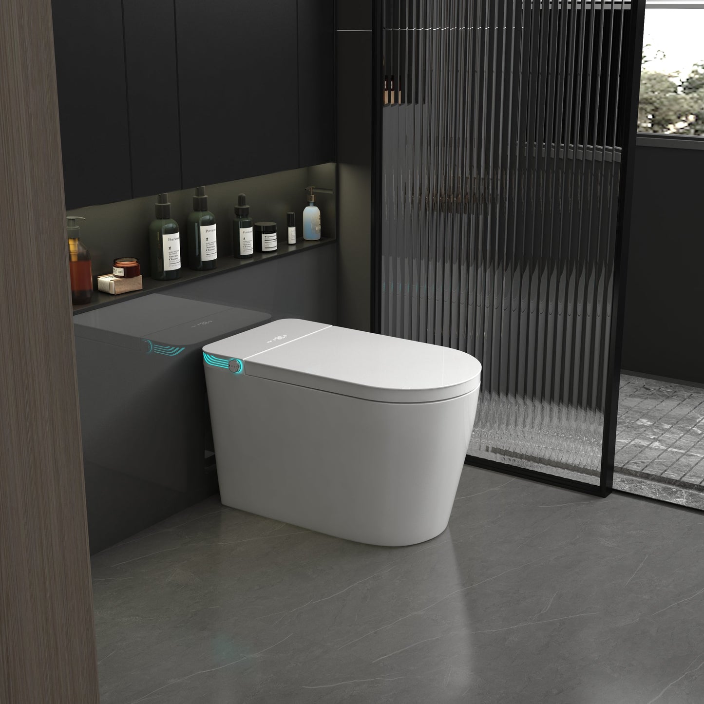 JN602 Smart Toilet