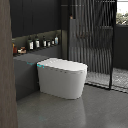 JN602 Smart Toilet