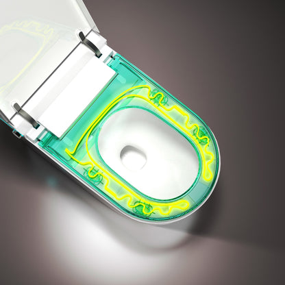 JN602 Smart Toilet