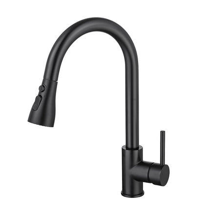 Sleek Pull-Down Kitchen Faucet (S308)
