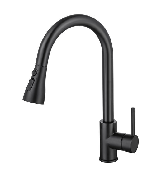 Sleek Pull-Down Kitchen Faucet (S308)