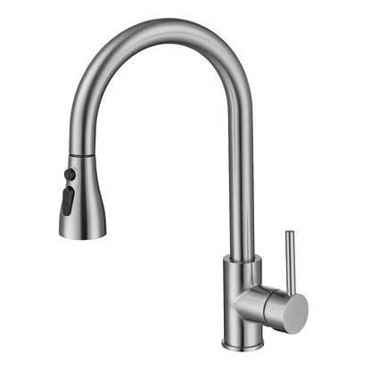 Sleek Pull-Down Kitchen Faucet (S308)