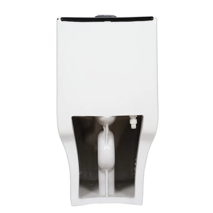 T2259 - White & Black One Piece Toilet