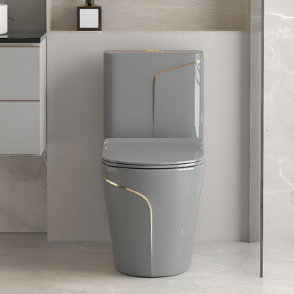 T2260 - Grey & Gold One Piece Toilet